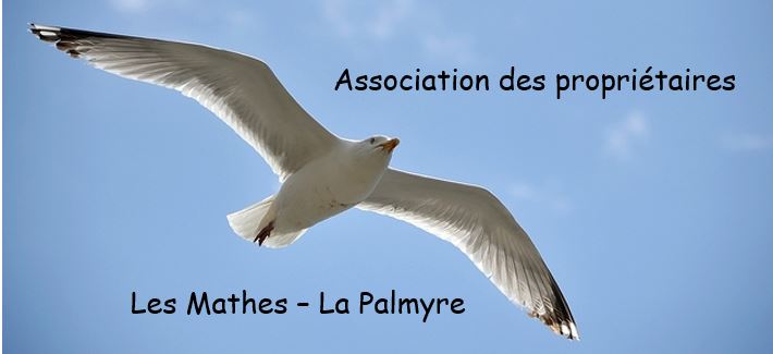 Logo 1